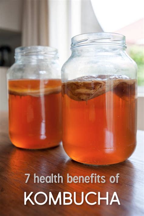 7 Health Benefits of Kombucha | Wellness Media