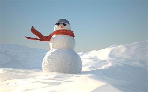 Real Snowman Wallpapers - Wallpaper Cave