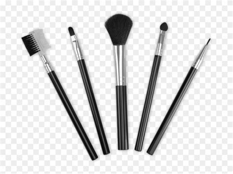 Ts Makeup Brush Set Pack Of 5 - Makeup Brushes, HD Png Download - 800x800 (#625888) - PinPng