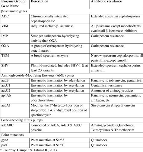 Genes conferring antibiotic resistance and resistance mechanisms in... | Download Scientific Diagram