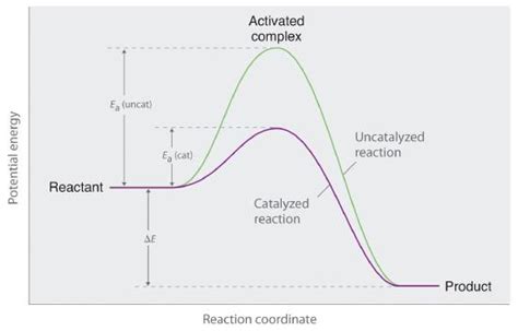 Chapter 13.8: Catalysis - Chemistry LibreTexts