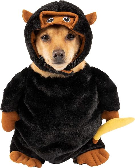 Amazon.com : MISSION PETS INC Black Monkey Halloween Dog Costume Set, XS/S, Fits Most Dogs 14 ...