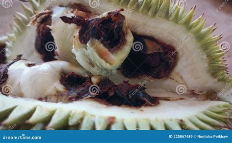 Durian Fruit Borer or Yellow Peach Moth Stock Image - Image of produce, cuisine: 225867489