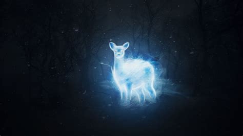 Patronus Charm Wallpapers on WallpaperDog