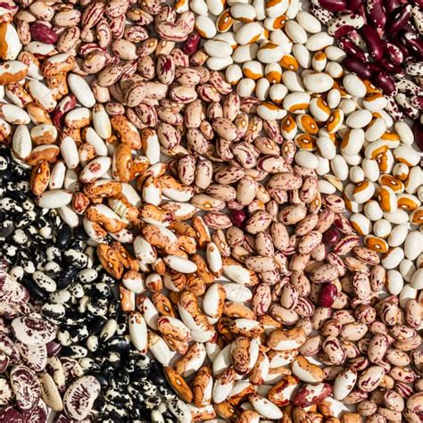 Heirloom Beans, Explained | America's Test Kitchen