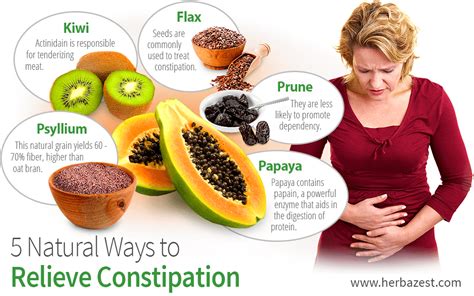 Fiber Rich Foods For Constipation - They Prevent Constipation Naturally ...