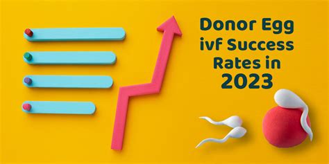 Donor Egg IVF Success Rates in 2023 - TebMedTourism