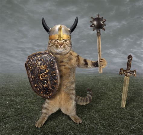 Viking Cats - DNA Study Shows the Crucial Role Felines Played in Viking Life - The Vintage News