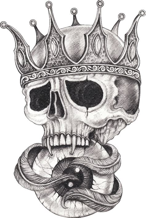 Skull Sketches Drawings