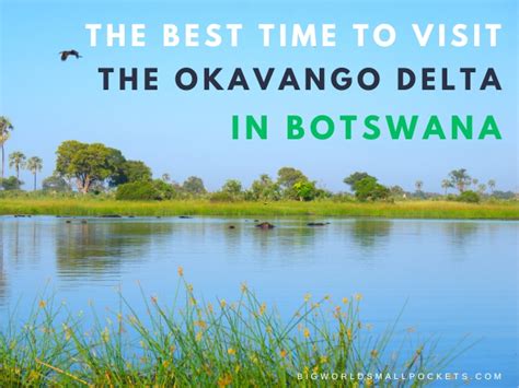 When is the Best Time to Visit the Okavango Delta? - Big World Small ...