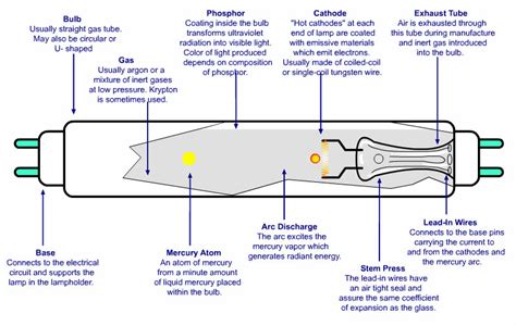 10 facts to know about Mercury lamp spectrum - Warisan Lighting