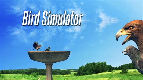 Bird Simulator - Buy on Steam