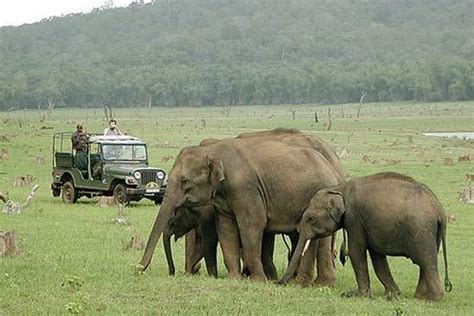 Safari at Nagarhole National Park: Experience Travel Group