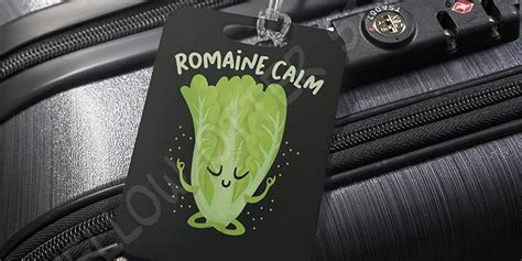 17 Funny Luggage Tags You Need If You're Traveling - Let's Eat Cake