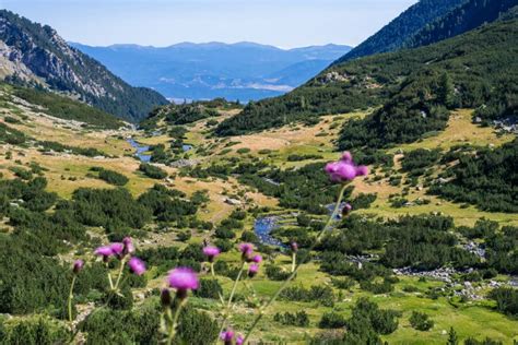 Hiking Bulgaria - The Best Bulgaria Hiking Spots | Chasing the Donkey