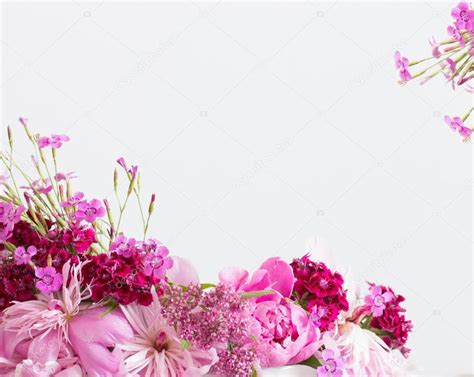 Images Of Pink Flowers On White Background | Best Flower Site