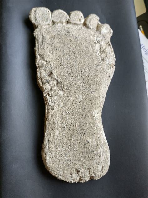 Bigfoot Footprint Cast Replica | Etsy