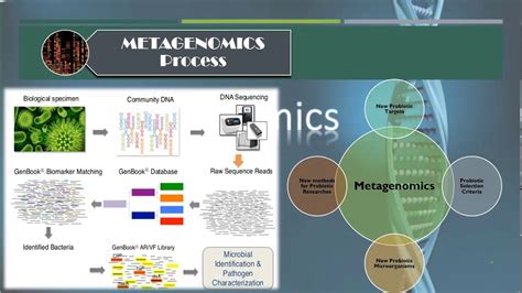 Introduction to MetaGenomics - YouTube