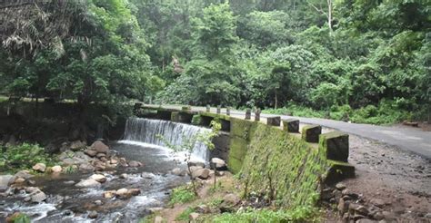 Pathanapuram to Achenkovil, an exhilarating drive into the wild | Kollam | Manorama English