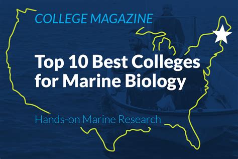 UNE ranked in top 10 of best colleges for marine biology by ‘College ...