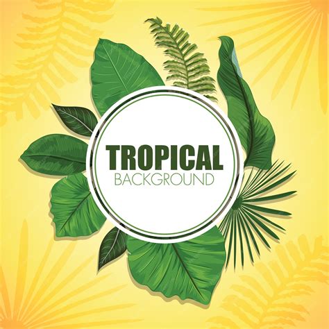 Premium Vector | Tropical leaf background