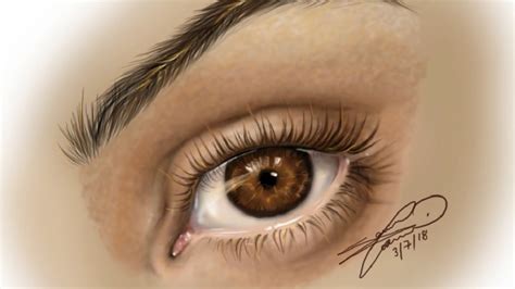 Realistic Brown Eye In Color - Digital Speed Drawing - YouTube