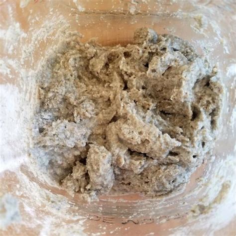 How to Make Rye Sourdough Starter [100% Hydration]