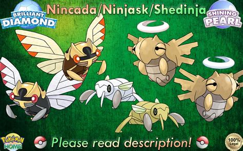 Shiny/non-shiny Nincada/ninjask/shedinja 6IV Brilliant - Etsy