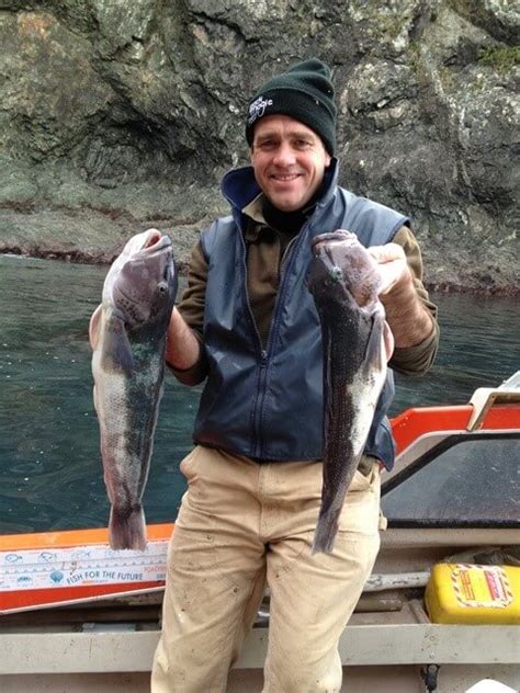 Blue cod in the Marlborough Sounds - Marlborough Marinas