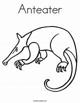 Anteater Coloring Sheet Pages sketch template