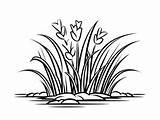 Grass Coloring Pages Top 51 Free Printable Designs sketch template