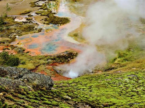 Yellowstone Fumaroles Photograph by Norma Brandsberg - Pixels