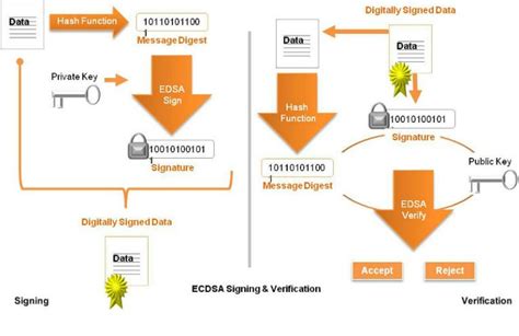 The Elliptic Curve Digital Signature Algorithm (ECDSA)