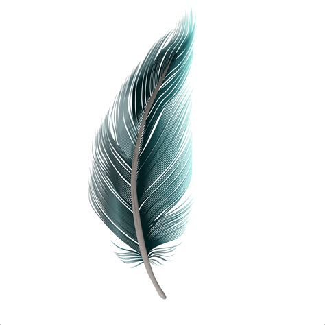 Feather PNGs for Free Download