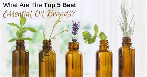 What Are The Top 5 Best Essential Oil Brands?