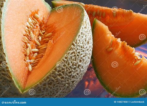 Cantaloupe -- Cut with Slices Stock Photo - Image of blue, skin: 14827458