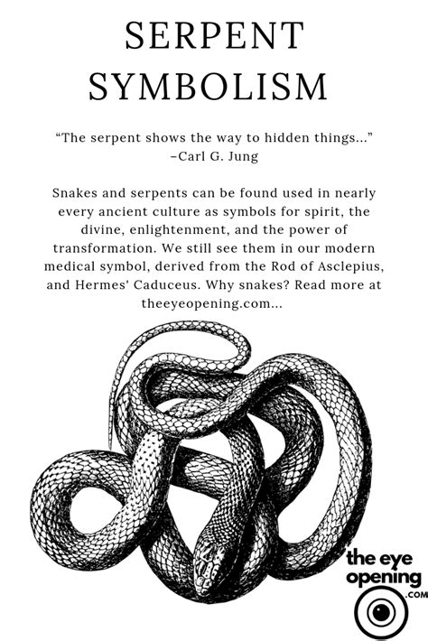 Serpent Symbolism in spirituality, #Serpent #Serpenttattoomythology #Spirituality #Symbolism ...