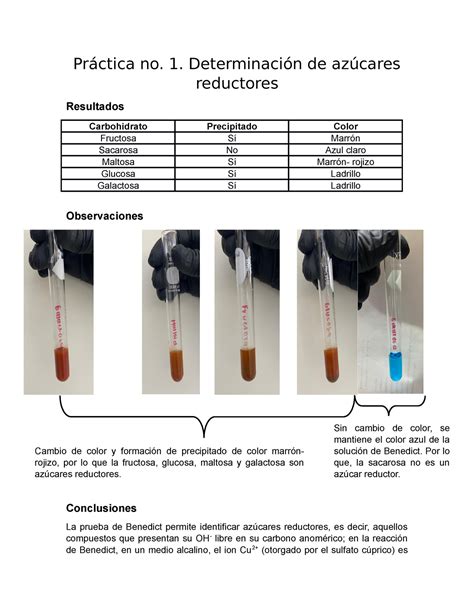 Práctica no. 1. Determinación de azúcares reductores - Práctica no. 1. Determinación de azúcares ...
