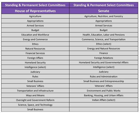 Congressional Standing Committees Are Best Described as