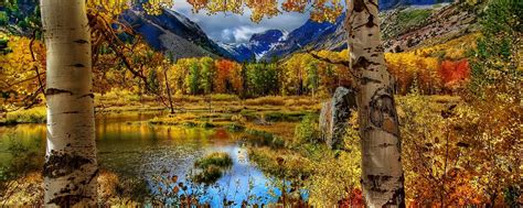 Fall Dual Monitor Wallpapers - Top Free Fall Dual Monitor Backgrounds - WallpaperAccess