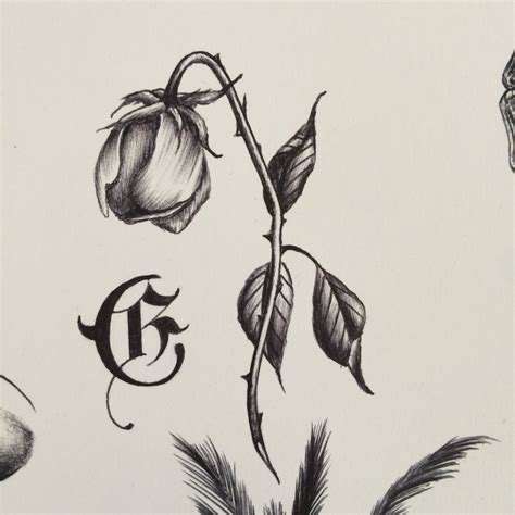 Dead Rose Drawing at GetDrawings | Free download