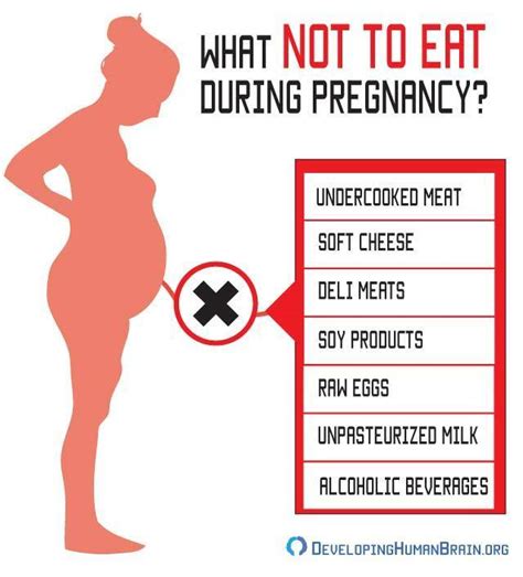 Explain The Warning Signs Of A Boggy Or Soft Uterus - fasrwi