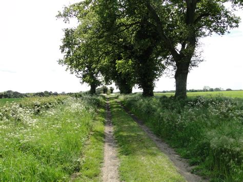 The Peddars Way Cycle Route leads to... © Adrian S Pye cc-by-sa/2.0 ...