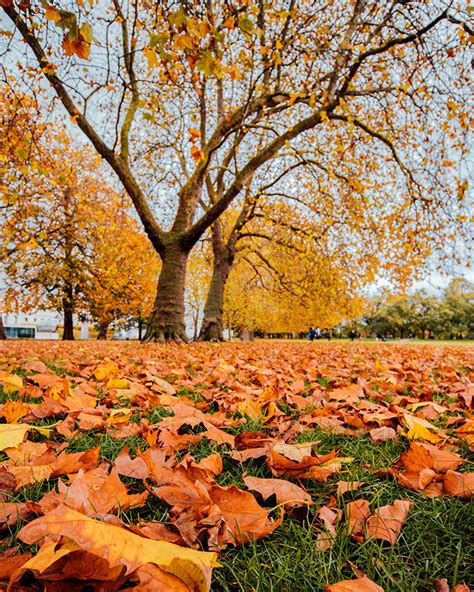 The Best Places to Experience Autumn in London - #travelcolorfully