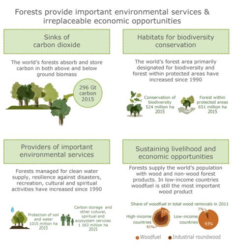 B3 - 1 Forests and climate change | Climate Smart Agriculture ...