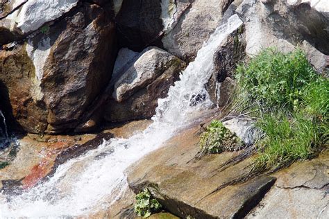 Mid Sierra Musings: Buzzard’s Roost Trail At Millerton Lake