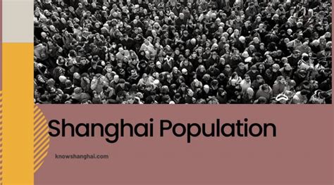 Shanghai Population & Density Data Overview in 2024