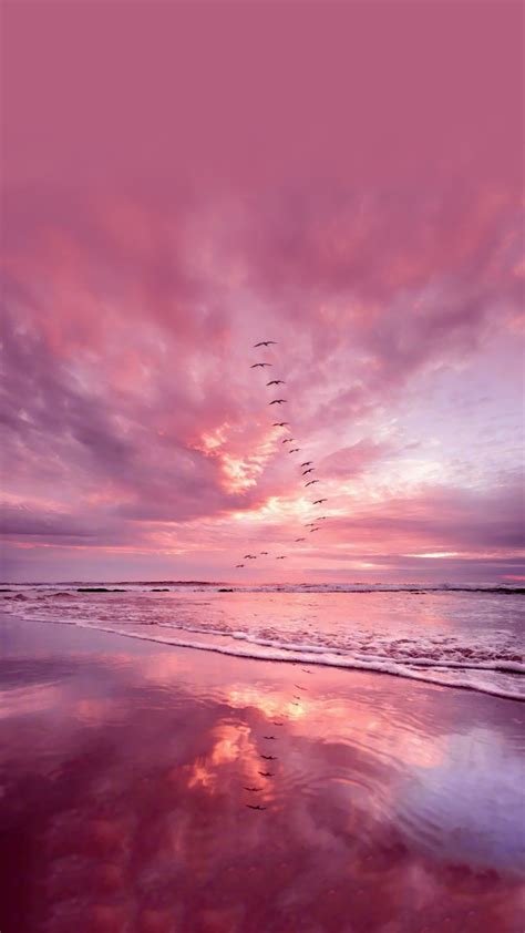 View Aesthetic Pink Cloud Wallpapers Gif - OVER TEXTURED WALLPAPER