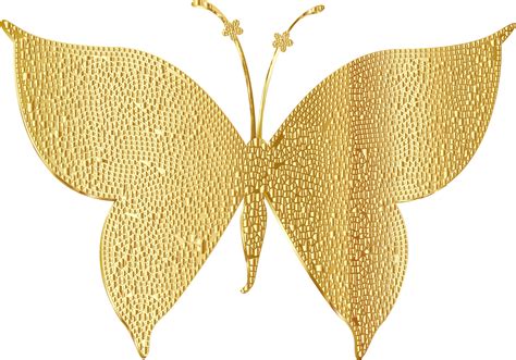 Gold clipart butterfly, Gold butterfly Transparent FREE for download on WebStockReview 2024