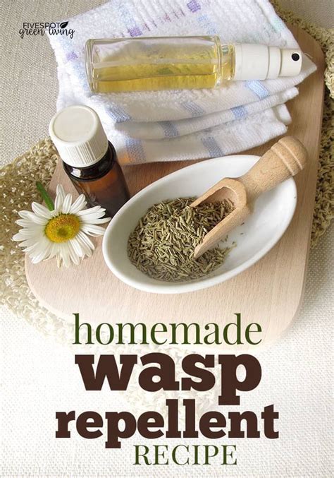 Essential Oil Wasp Repellent Recipe | Wasp repellent, Natural wasp repellent, Repellent diy